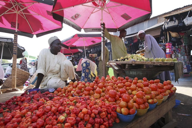 nigeria tomatoes
