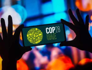 African climate startup founders at a Gulf investment forum in Dubai