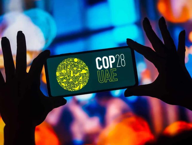 African climate startup founders at a Gulf investment forum in Dubai