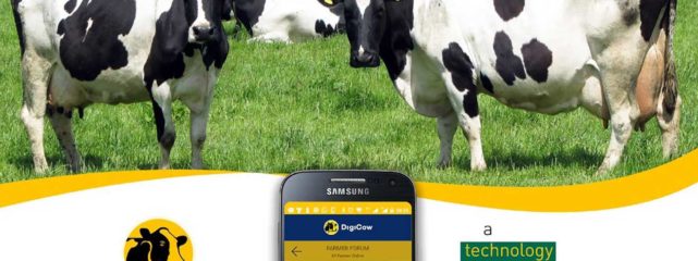 Kenyan smallholder farmer using mobile agritech platform in field