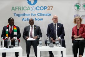 African Union and Arab League delegates at a climate finance multilateral session