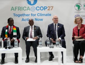African Union and Arab League delegates at a climate finance multilateral session