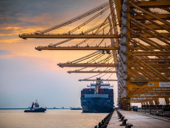 Container ships docked at Jebel Ali port, Dubai, with cranes overhead